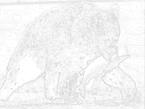 Paint by Number #002