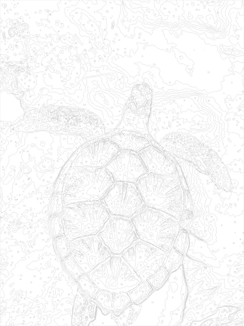 Paint by Number #004